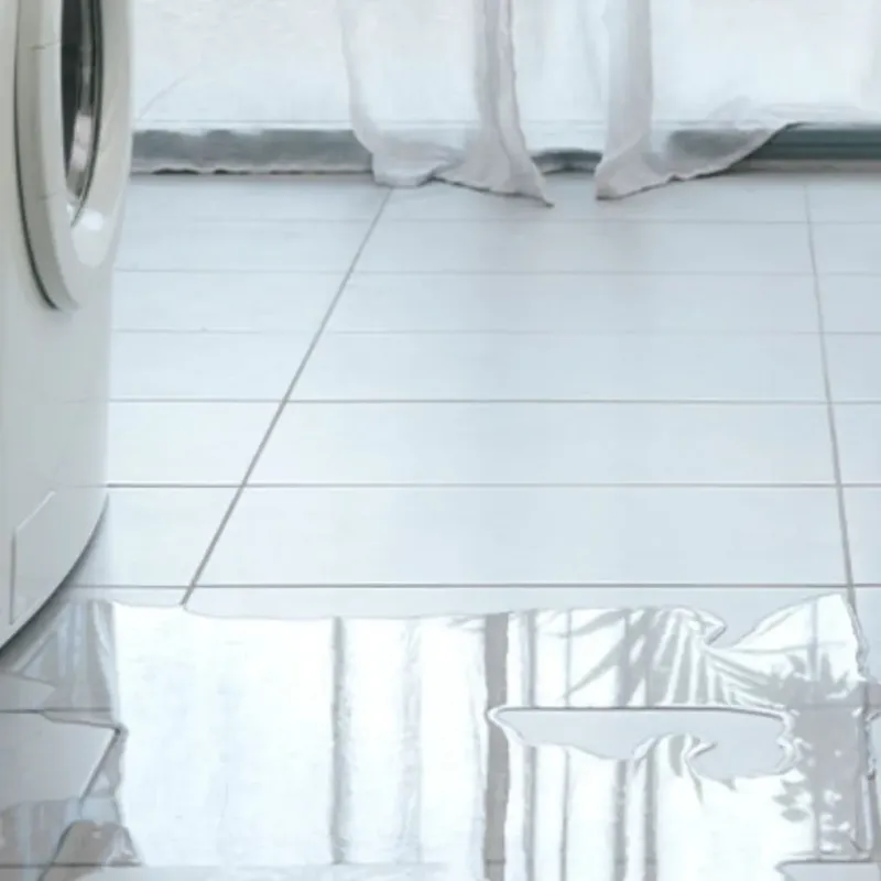 Appliance Leak Cleanup in Beulah, MI
