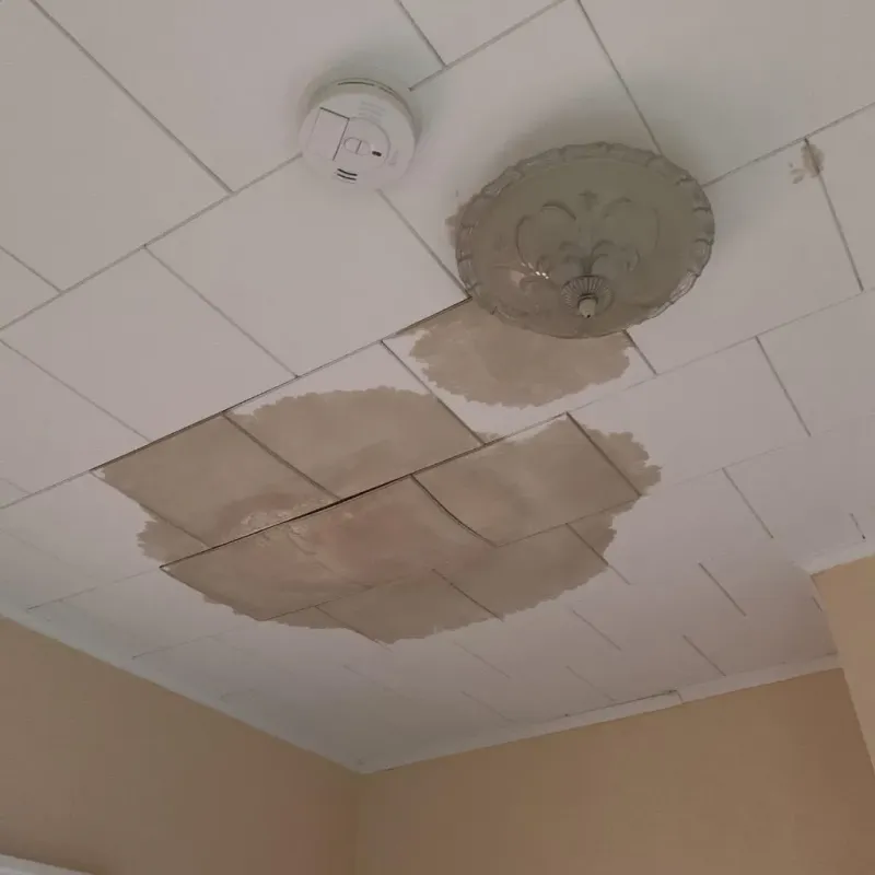 Ceiling Water Damage Repair in Beulah, MI