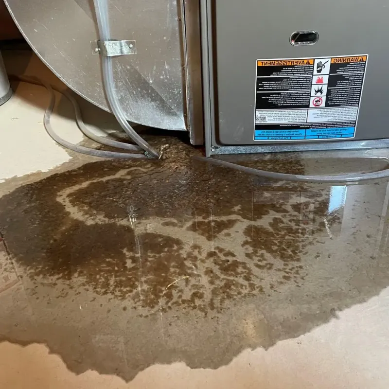 Pipe Burst and Leak Restoration in Beulah, MI